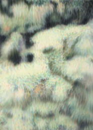 「Transit」シリーズ新作　